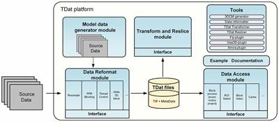 TDat: An Efficient Platform for Processing Petabyte-Scale Whole-Brain Volumetric Images